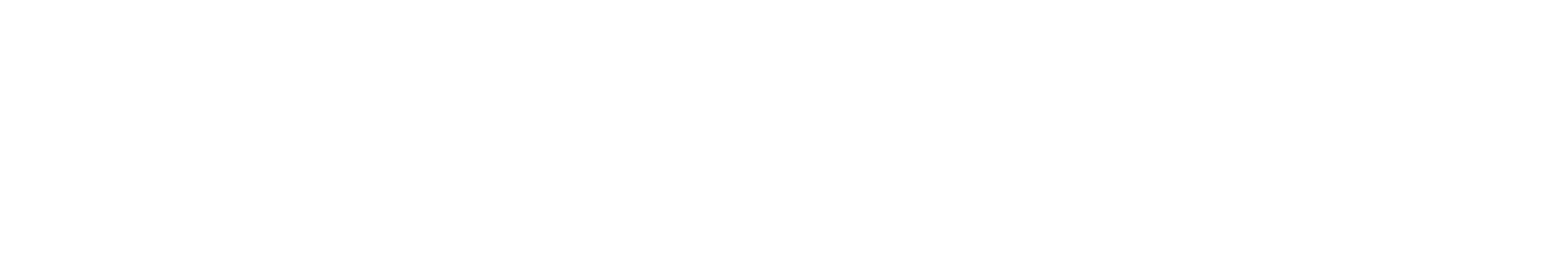 BONUS Gestión de Activos